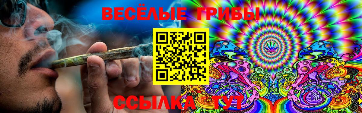 Галлюциногенные грибы Psilocybe Озёры