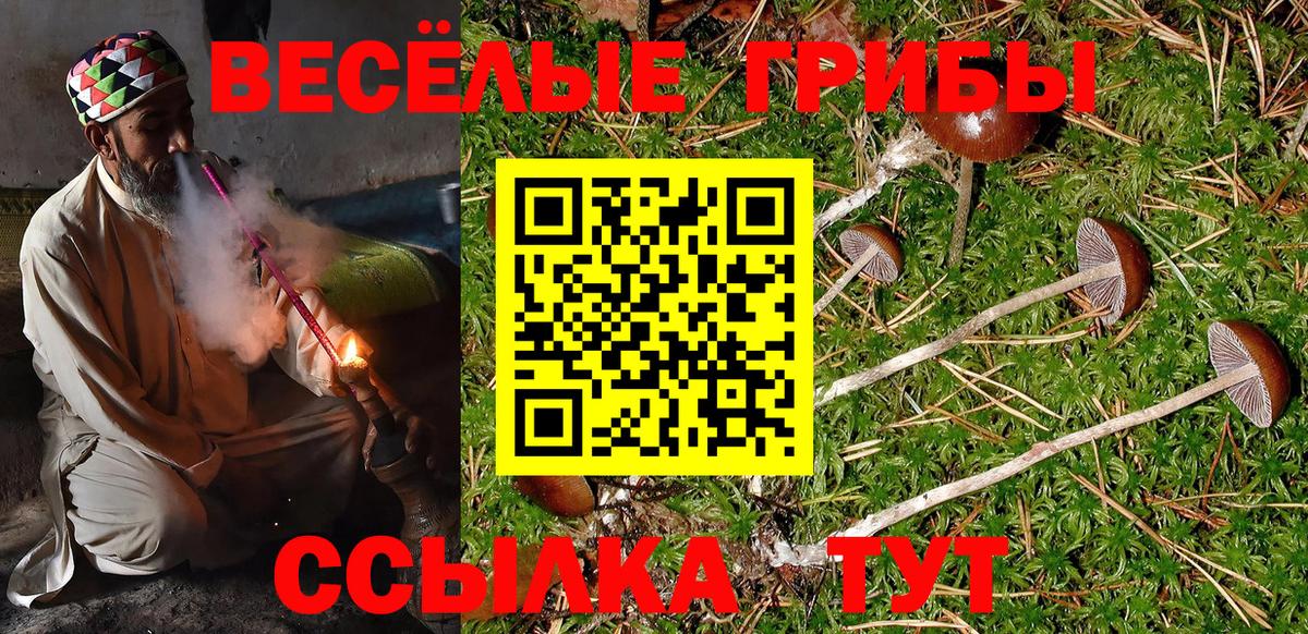 дарнет шоп  Псилоцибиновые грибы Cubensis  Вход с VPN  Озёры 