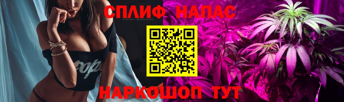 Канабис сатива Озёры